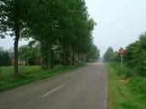 Straat foto's