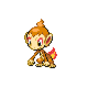 Chimchar.png