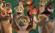 Lemurs (AHKJ)