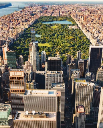 Central Park Madagascar Wiki Fandom