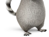 Uncle King Julien