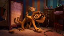 Gia Photos Madagascar Wiki Fandom