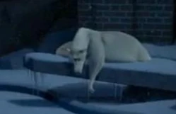 A close-up view of Ted