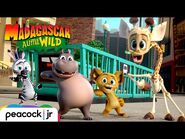 MADAGASCAR A LITTLE WILD - Season 2 Trailer