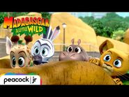 MADAGASCAR A LITTLE WILD - Season 4 Trailer