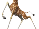 Melman