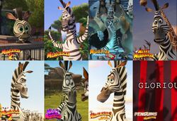 madagascar 2 baby marty