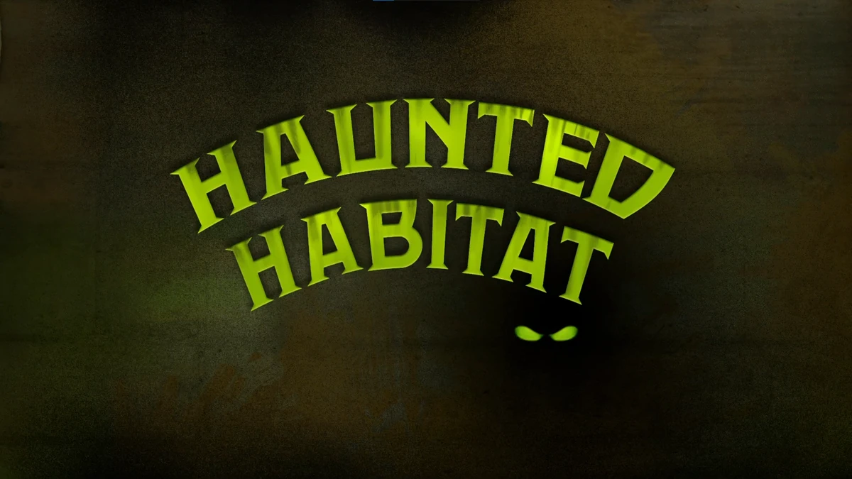 Why Madagascar Is Still Haunted By Coups And French Ghost Stories