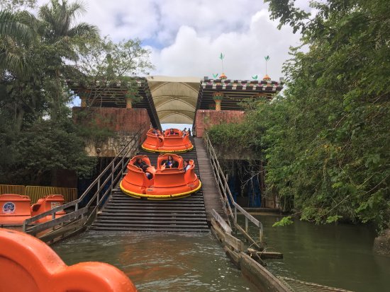 Beto Carrero World, Wiki