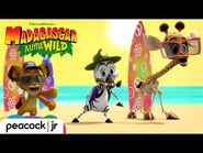 MADAGASCAR A LITTLE WILD - Season 8 Trailer