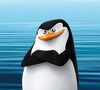 Skipper