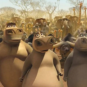 Moto Moto Photos Madagascar Wiki Fandom