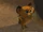 Rcsmw6425/🦓Madagascar: A Little Wild and Madagascar: Escape 2 Africa Refrences🦁