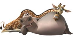 Copia di Madagascar 2 - Moto Moto & Gloria