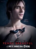 Reeve Carney as Dorian Gray