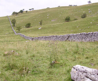 Dry stone wall Malham 06