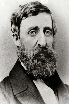 Henry David Thoreau 2