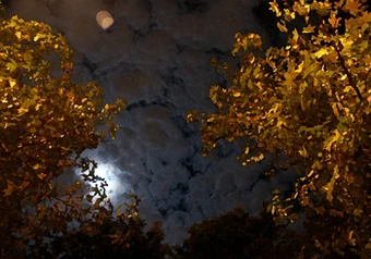 September night. Courtesy Other Voices International Project.