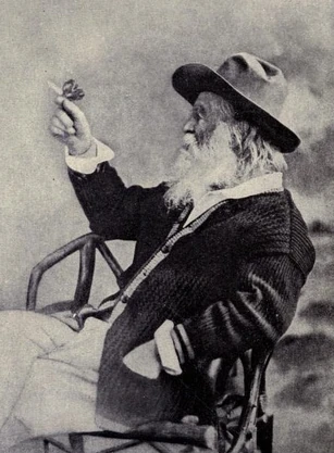 "Walt Whitman and the Butterfly". Photo by Phillips & Taylor, Philadelphia. from Leaves of Grass, 1920. Courtesy Internet Archive.