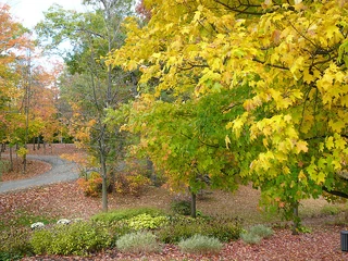 Fall Landscape, 2012. Photo by Mimi Loz. Licensed under Creative Commons, courtesy Wikimedia Commons.
