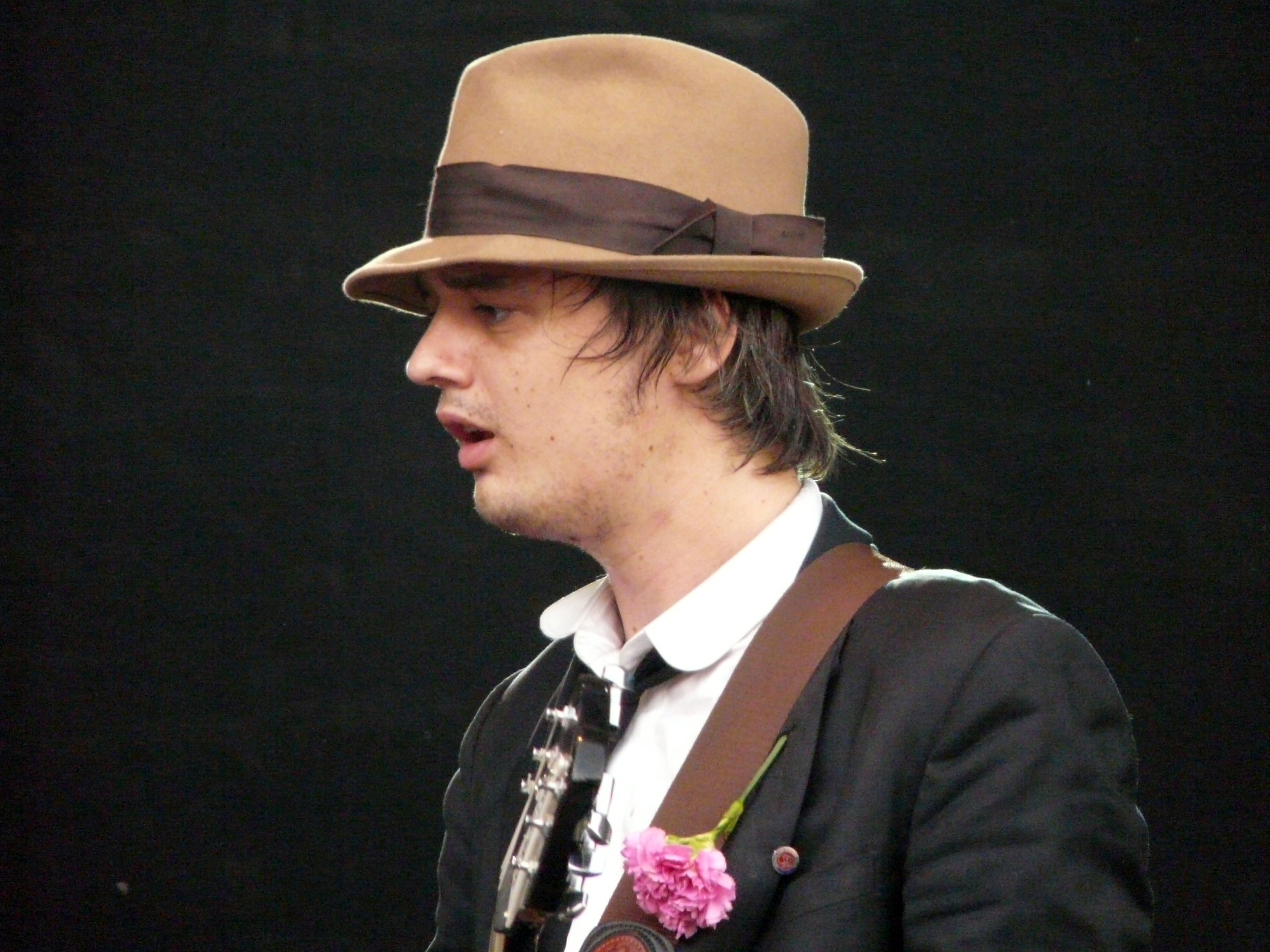 pete doherty wikipedia