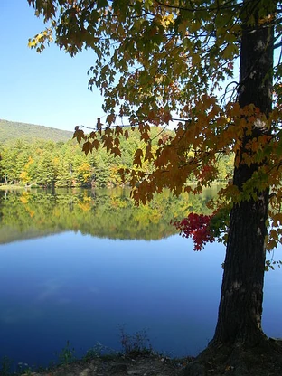 "Changing Seasons", Douthat State Park, Virginia, October 11, 2011. Courtesy Wikimedia Commons.