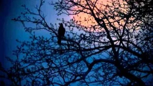 Samuel_Taylor_Coleridge_-_The_Nightingale_-_poetry_reading