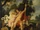 Venus and Adonis by Shakespeare