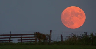 Harvest moon. Courtesy Wikimedia Commons.