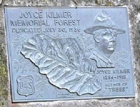 Plaque in Joyce Kilmer Memorial Forest, North Carolina. Courtesy Wikimedia Commons.