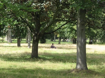 Man under tree, 2007. Courtesy Little Purls of Wisdom.