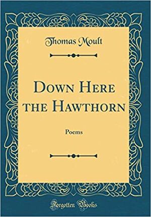 Down here the hawthorne
