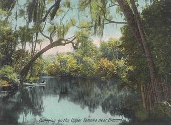 Canoeing on the Upper Tomoka, postcard circa 1905. Courtesy Wikimedia Commons.