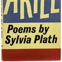 Ariel Poems By Sylvia Plath Penny S Poetry Pages Wiki Fandom
