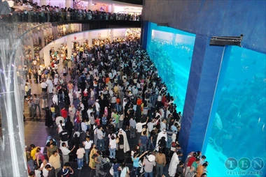 Dubai Aquarium & Underwater Zoo. Courtesy The Emirates Network.