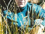 Michael Harlow