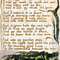 A Poison Tree Blake Penny S Poetry Pages Wiki Fandom