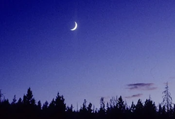 Crescent moon over pines. Courtesy Cascadia Institute.
