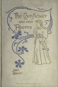 Cornflower