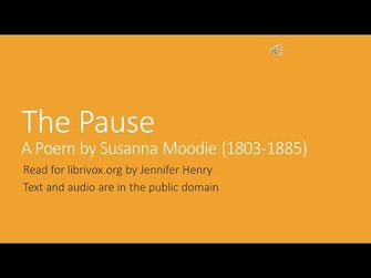 The_Pause