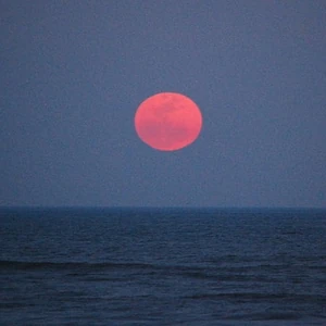 Supermoon rising over Atlantic Ocean, March 2011. Photo by Bubba73. Licensed under Creative Commons, courtesy Wikimedia Commons.