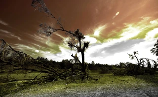 Apologies for the Wasteland. Courtesy The Included Middle.