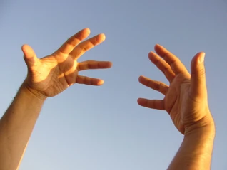 Manos humanas (human hands). Photo by Luis Figuerosa. Licensed under Creative Commons, courtesy Wikimedia Commons.