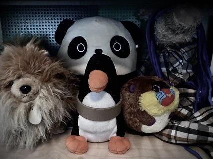 The Chroniclesverse Shared universe wiki