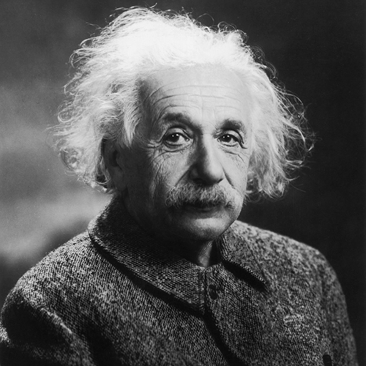 Albert Einstein | Peppa Pig Fanon Wiki | Fandom