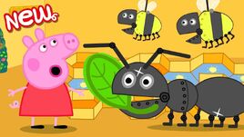 Big Bug Museum (New)
