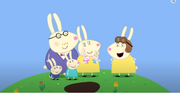 Rabbit family