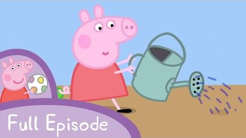 Peppa Pig watering.