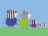 Zebra Family