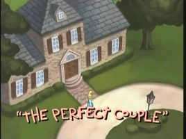 The Perfect Couple